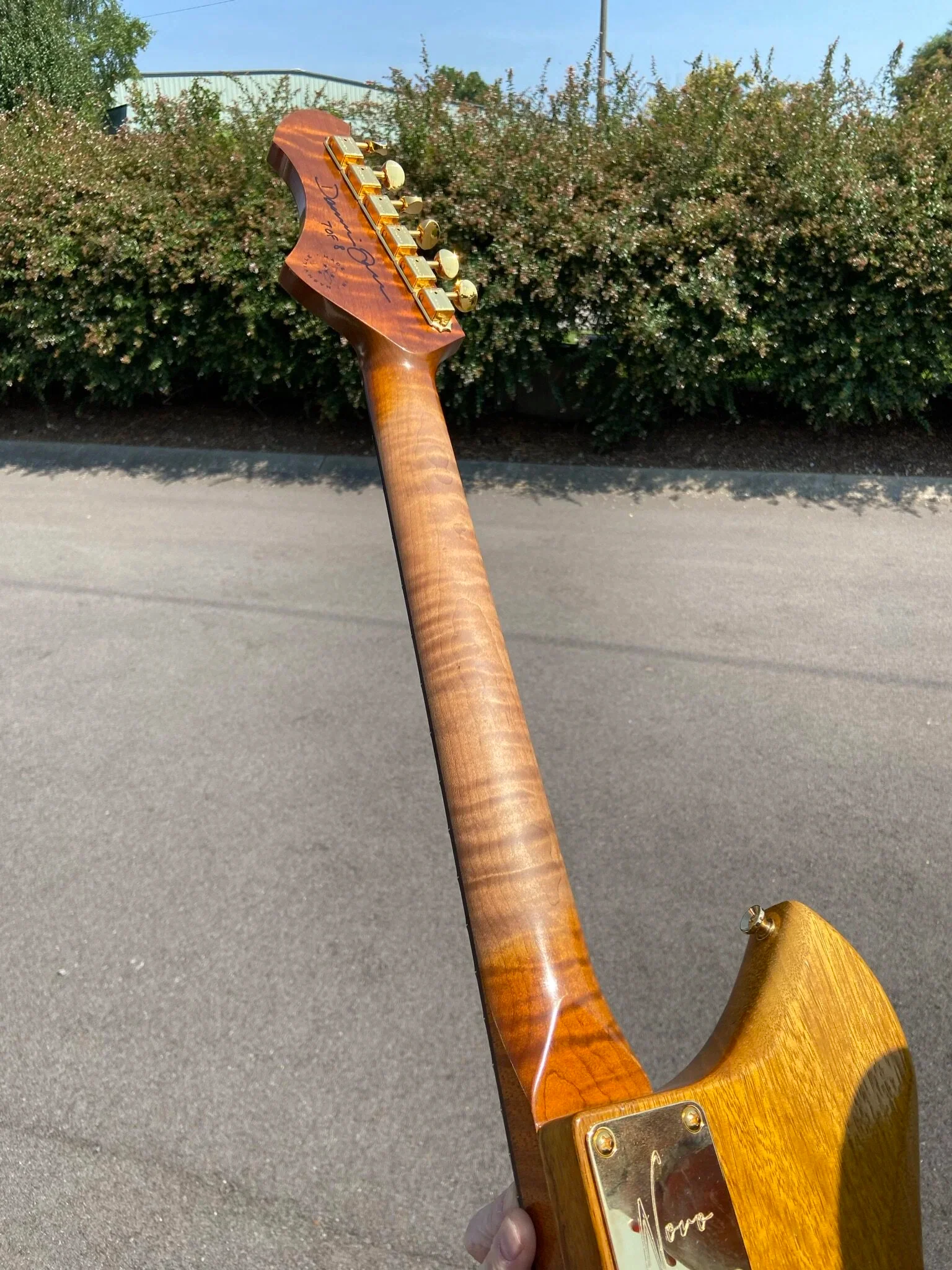 Signature SERUS P2 - Korina (7 of 8) - Image 3