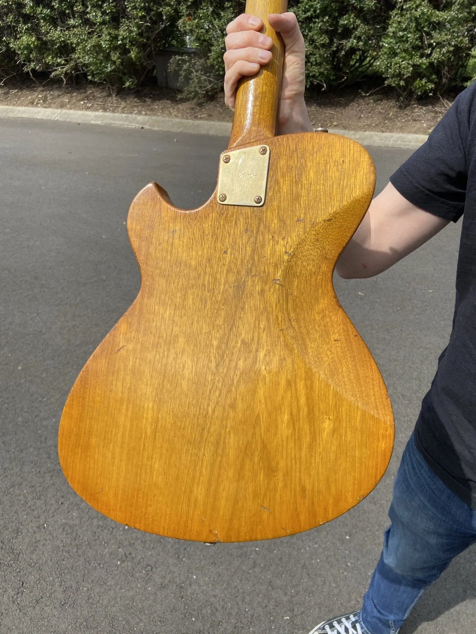 Signature SOLUS H1 - Light Amber Burst - Image 2